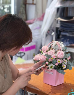 家庭养花用生根粉