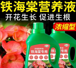 家庭养花用生根粉