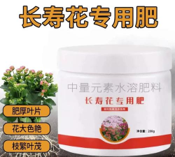 家庭养花用生根粉