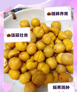 瓜栗可以干什么