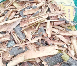 暴马丁香喂什么肥料