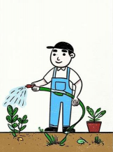 家庭养花用生根粉