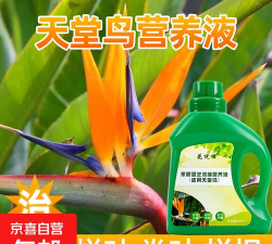 家庭养花用生根粉