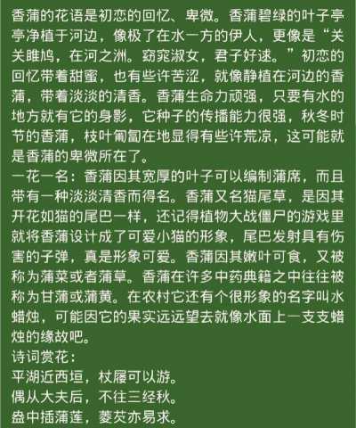 香蒲花语和意思是什么