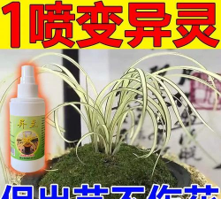 家庭养花用生根粉