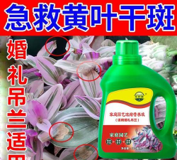 家庭养花用生根粉