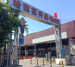 怎么去岭南花卉市场