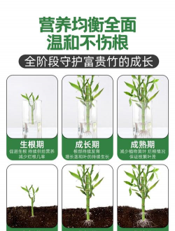 家庭养花用生根粉