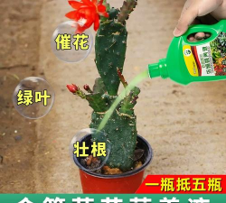 家庭养花用生根粉