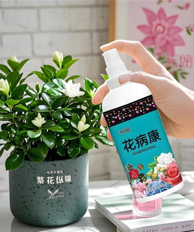 家庭养花用生根粉