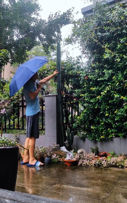 家庭养花用生根粉