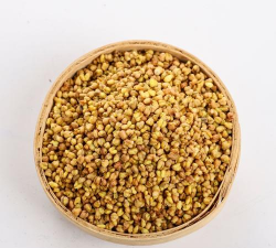 乔麦什么样子的