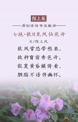 秋天花草的诗句有哪些