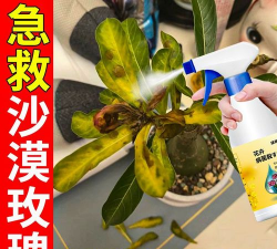 家庭养花用生根粉