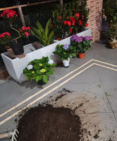 家庭养花用生根粉