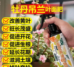 家庭养花用生根粉