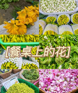 植物的花有哪些是食物