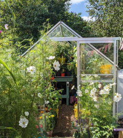 家庭养花用生根粉