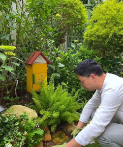 家庭养花用生根粉