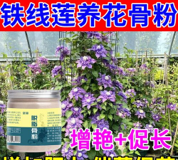 家庭养花用生根粉