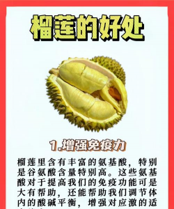 榴莲是什么性的食物