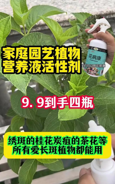 家庭养花用生根粉