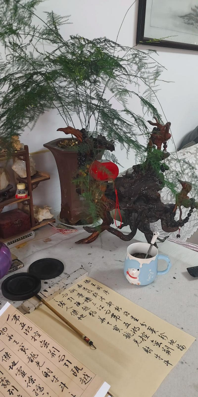 家庭养花用生根粉