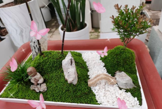 家庭养花用生根粉