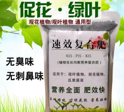 家庭养花用生根粉