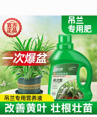 家庭养花用生根粉