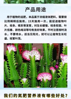 家庭养花用生根粉