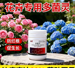 家庭养花用生根粉