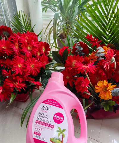 洗衣粉水养花 洗衣粉水养花