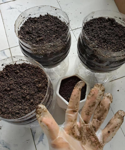 家庭养花用生根粉