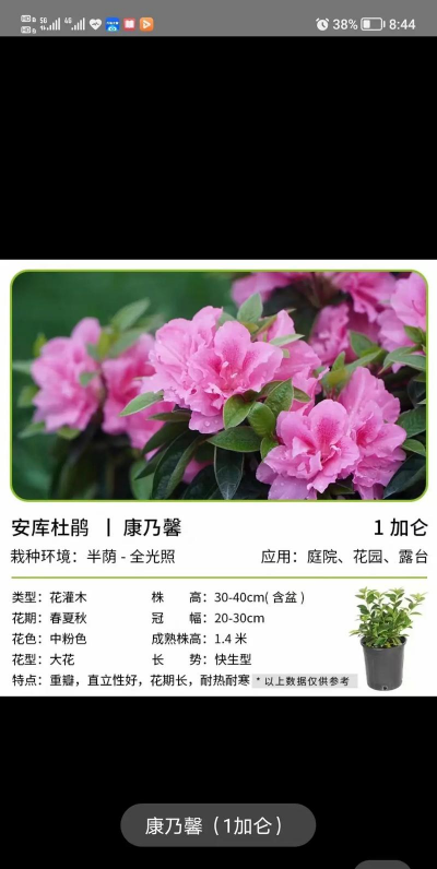 家庭养花用生根粉