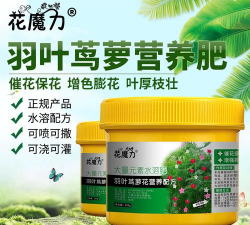 家庭养花用生根粉