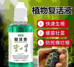 家庭养花用生根粉