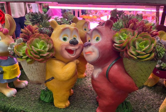 家庭养花用生根粉