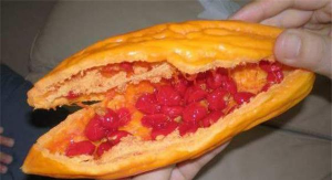 黄皮红色果实是什么