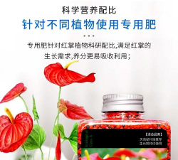 家庭养花用生根粉