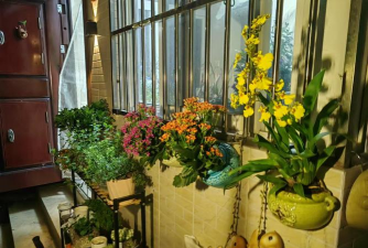 家庭养花用生根粉