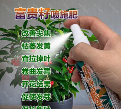 家庭养花用生根粉