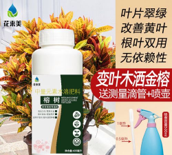 家庭养花用生根粉