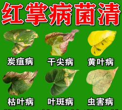 家庭养花用生根粉