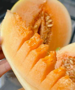 蜜宝瓜是什么瓜