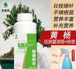 瓜子黄杨花用什么肥料