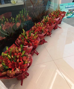 家庭养花用生根粉