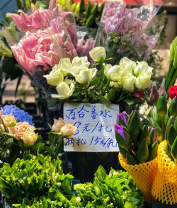 鲜花行情怎么样