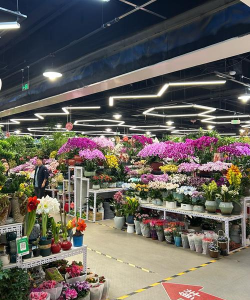 北京花店市场怎么样