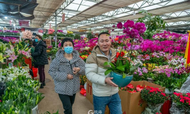 家庭养花用生根粉